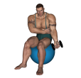 Dumbbell Curl - Fitness Ball Single